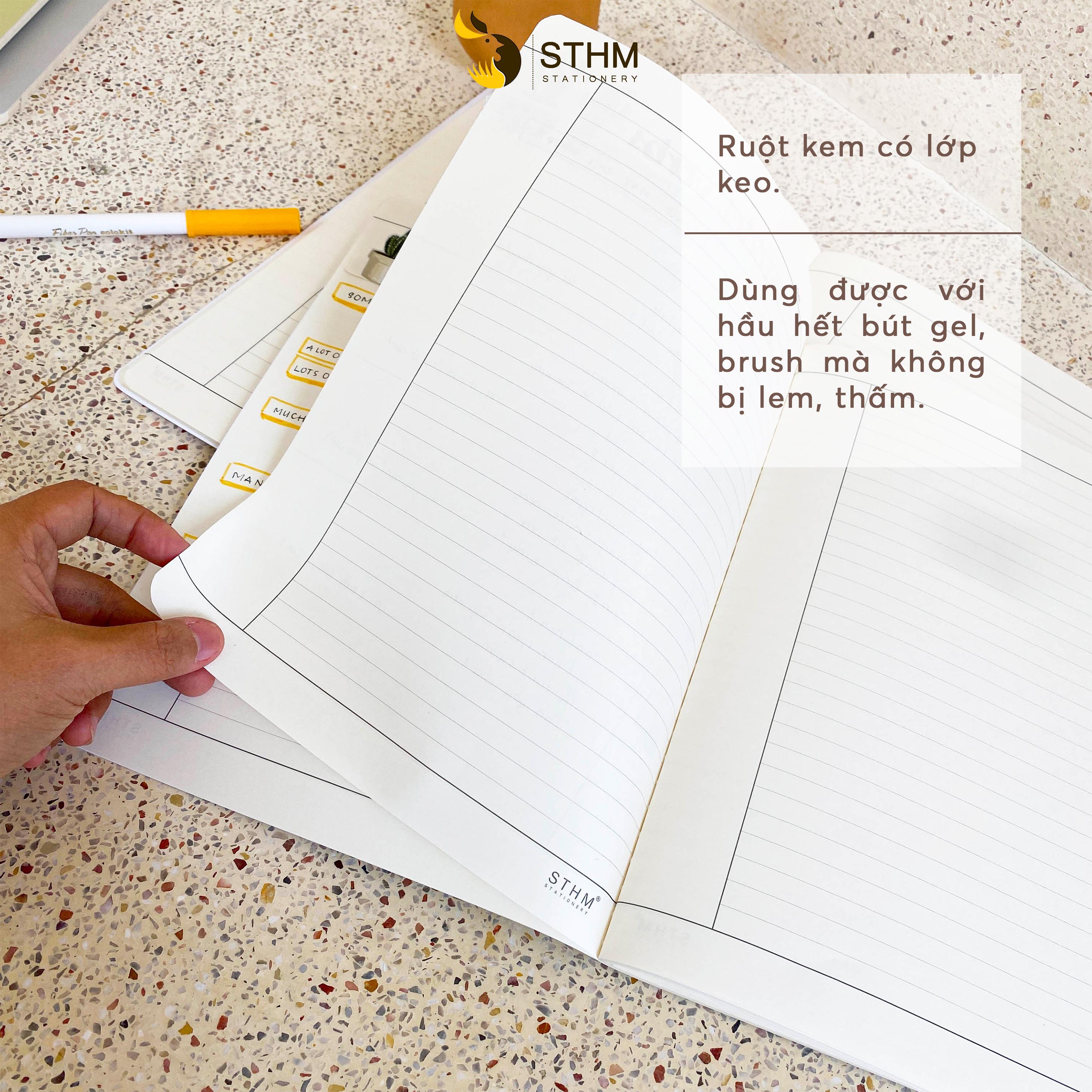 Tập vở B5 - Cake 03 - Ruột LINE 80gsm - 80 trang - STHM stationery