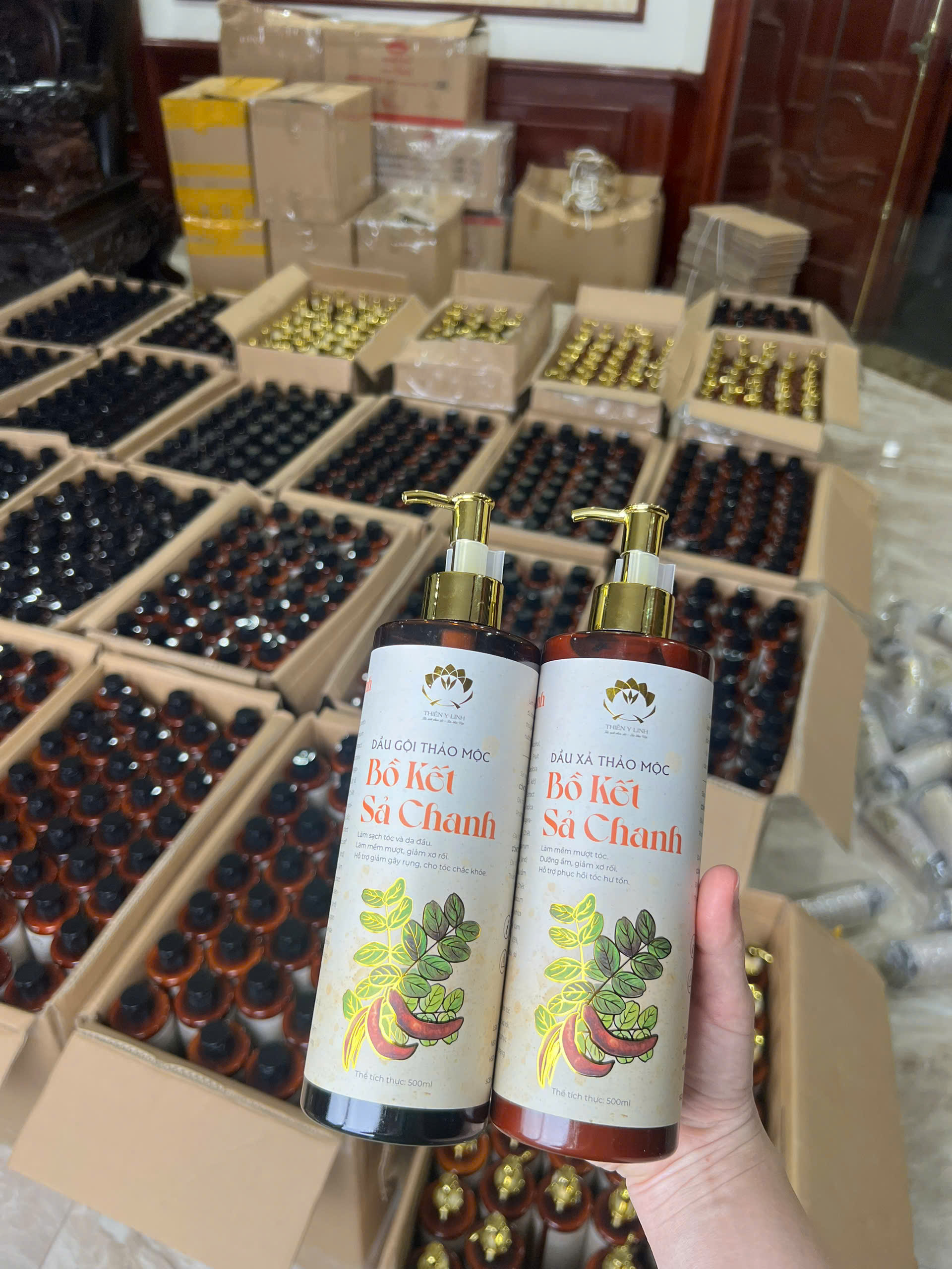 Dầu Xả Bồ Kết Sả Chanh thảo mộc giảm rụng tóc sau sinh an toàn cho con bú.