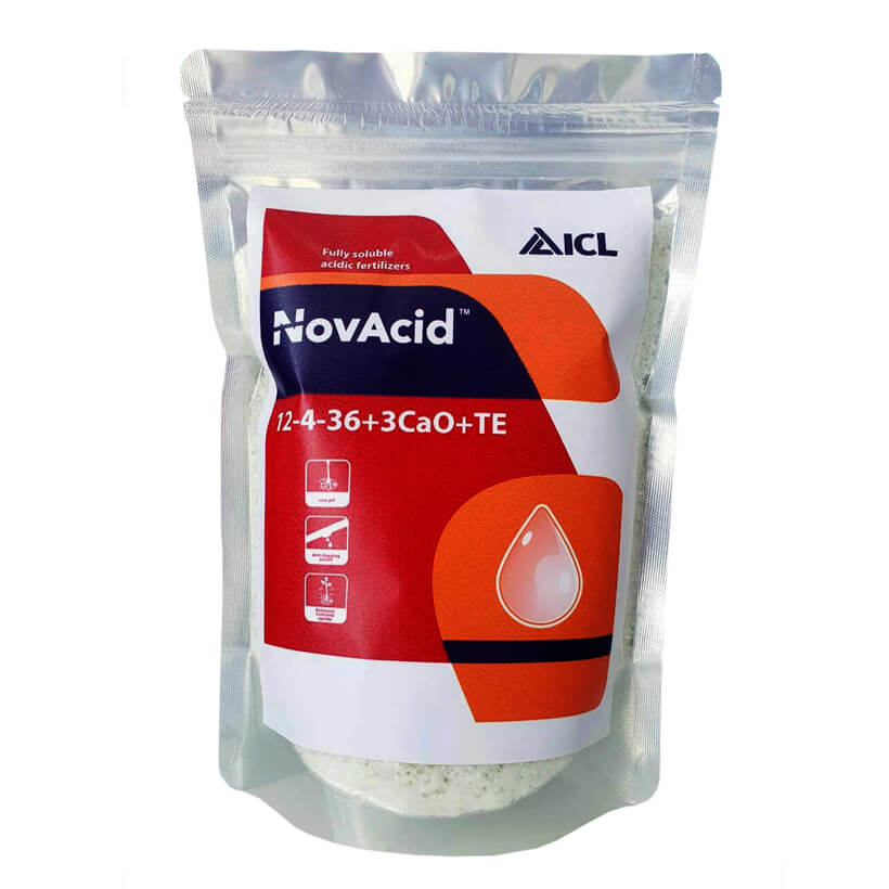 Phân bón hòa tan Israel Novacid 12-40-36+3CaO+Te, Hoà tan 100% sử dụng cho hệ thống tưới nhỏ giọt và tưới phun. Hạn chế rụng trái non, thúc hoa ra màu đẹp và tăng sức đề kháng cho cây trồng