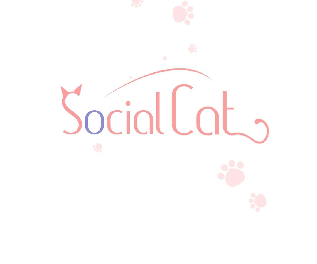 social cat chapter 1 3