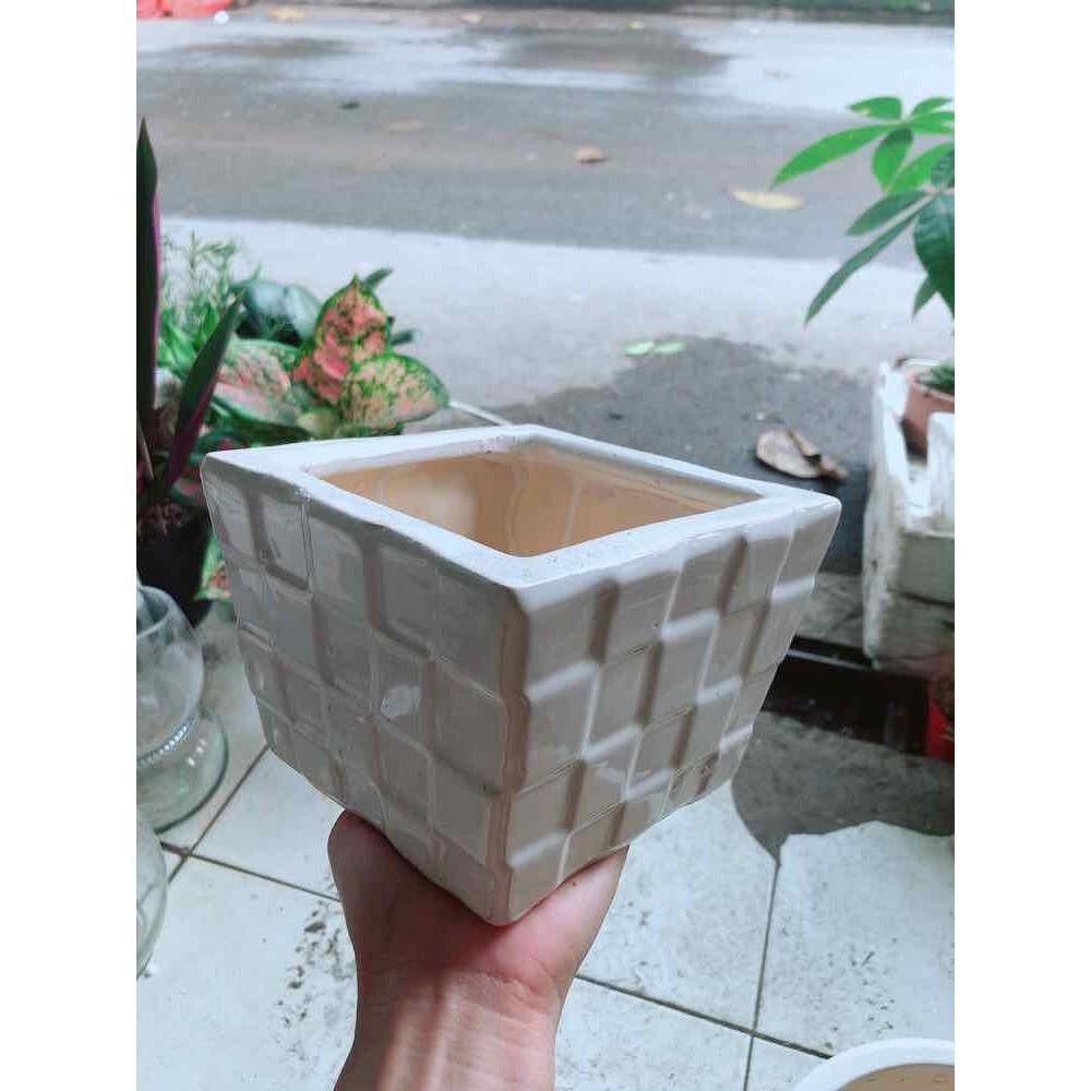 Chậu Trồng Cây Bán Chạy