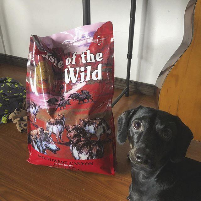 Thức Ăn Cho Chó Doberman Taste Of The Wild Bao 2kg - Thức Ăn Cho Chó Vị Thịt Heo, Trái Cây Rau Củ Quả Southwest Canyon