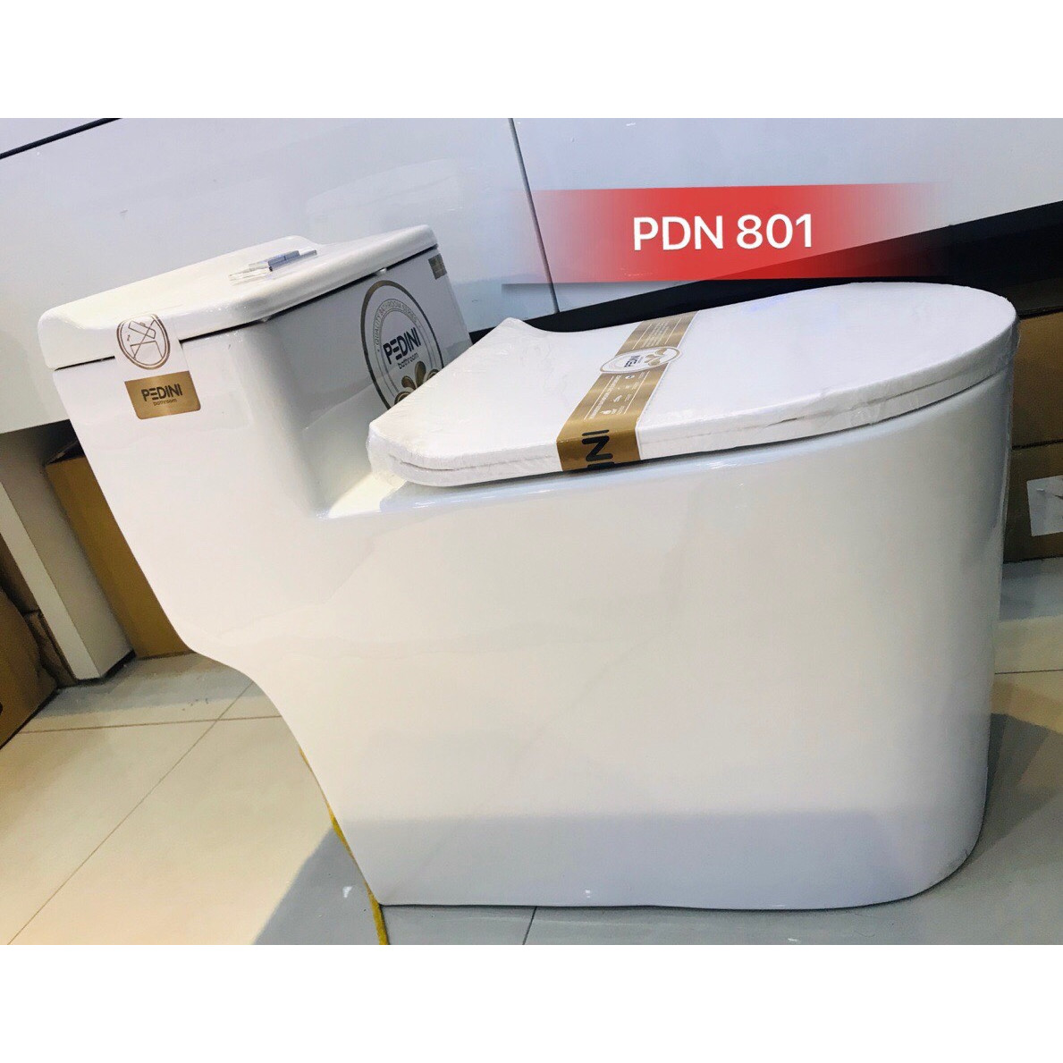 Bệt vệ sinh liền khối PDN 801 - Hàng Chính Hãng