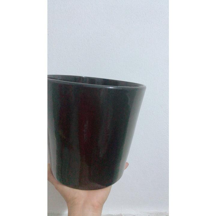 Chậu Sứ Trồng Cây