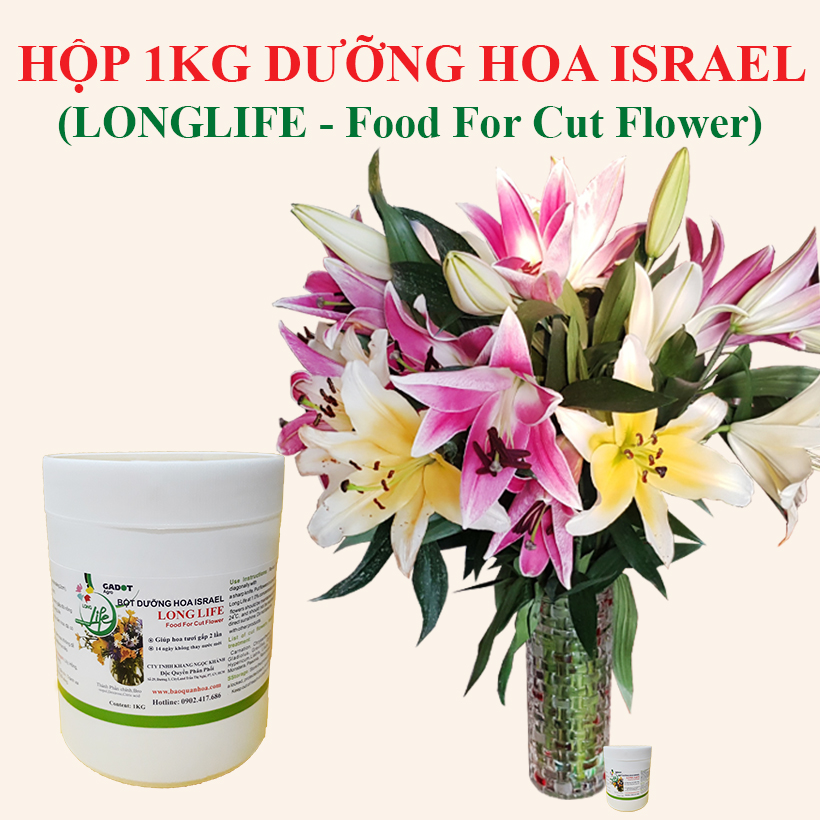 BỘT DƯỠNG HOA TƯƠI LÂU LONGLIFE SG ISRAEL DÀNH SHOP HOA BẢO QUẢN HOA CẮM LẴNG TƯƠI LÂU VÀ HẠN CHẾ THAY HOA ĐỊNH KỲ