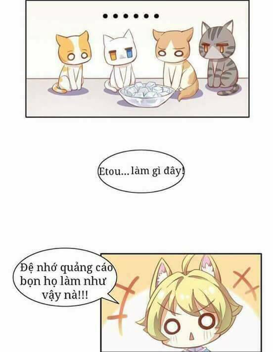 dưới móng vuốt mèo chapter 3 16