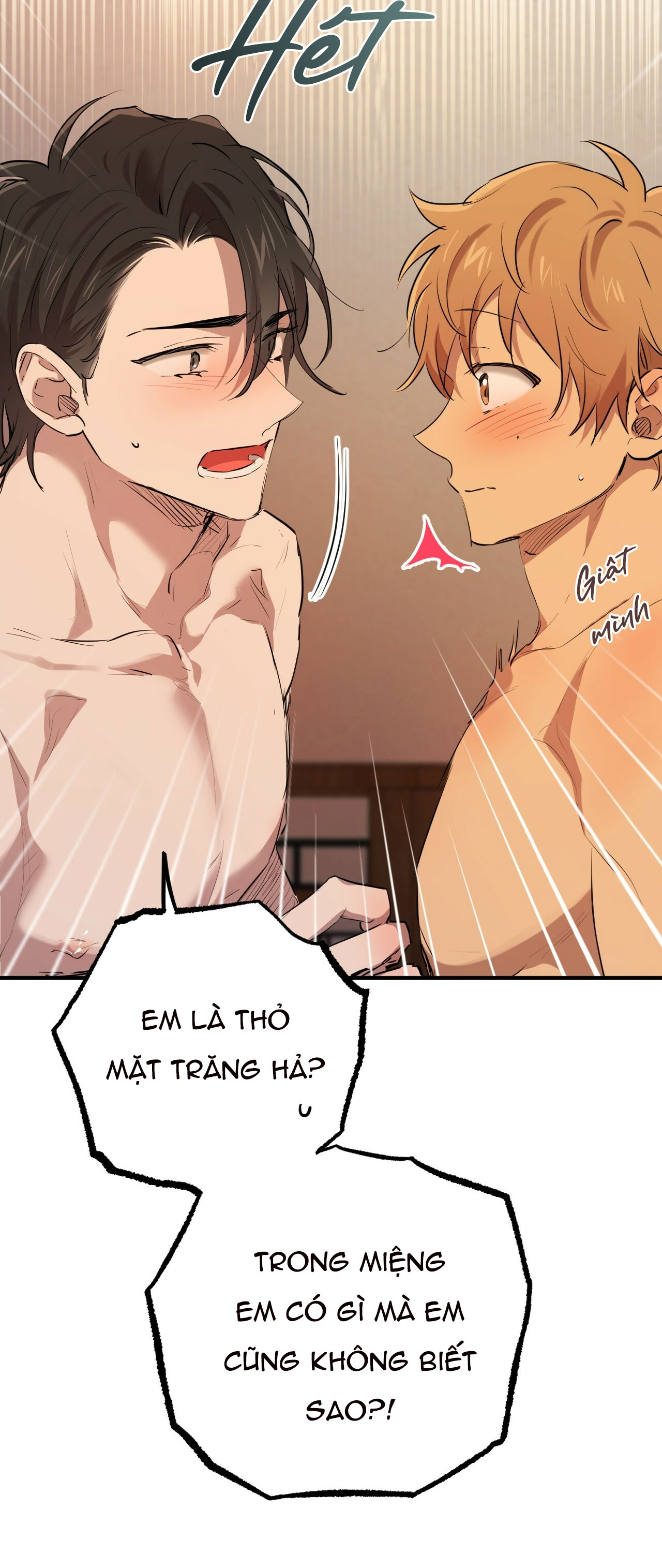 những chú thỏ của hapypy chapter 27 7