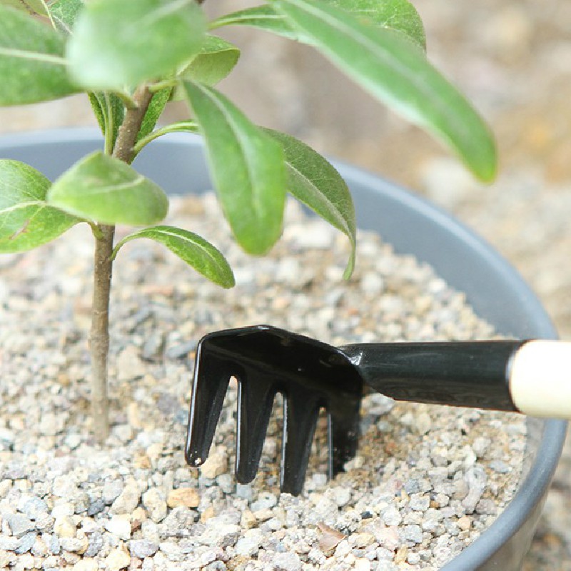 Bộ dụng cụ trồng cây cảnh mini gồm 3 món: cuốc, xẻng, thuổng