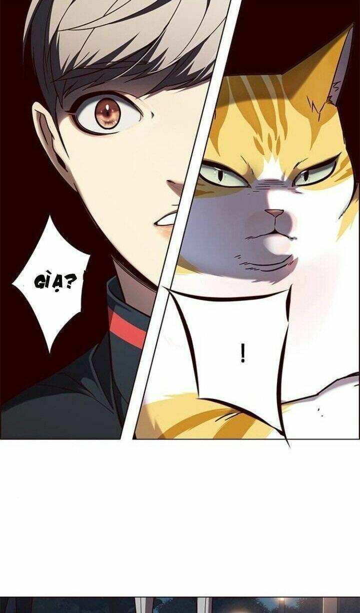 biến thân thành mèo chapter 91 36