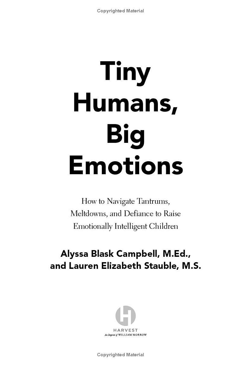 Sách ngoại văn: Tiny Humans, Big Emotions