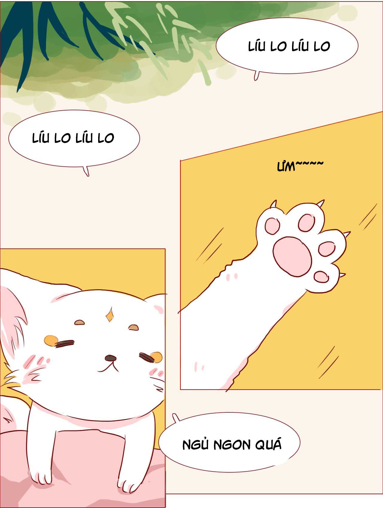 mẫu phi đuôi của người lộ ra rồi kìa chapter 42 19