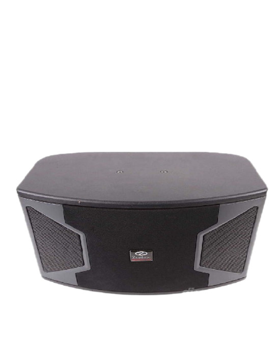 Cặp Loa Karaoke  gia đình Zenbos LZ - 318(Hàng chính hãng)