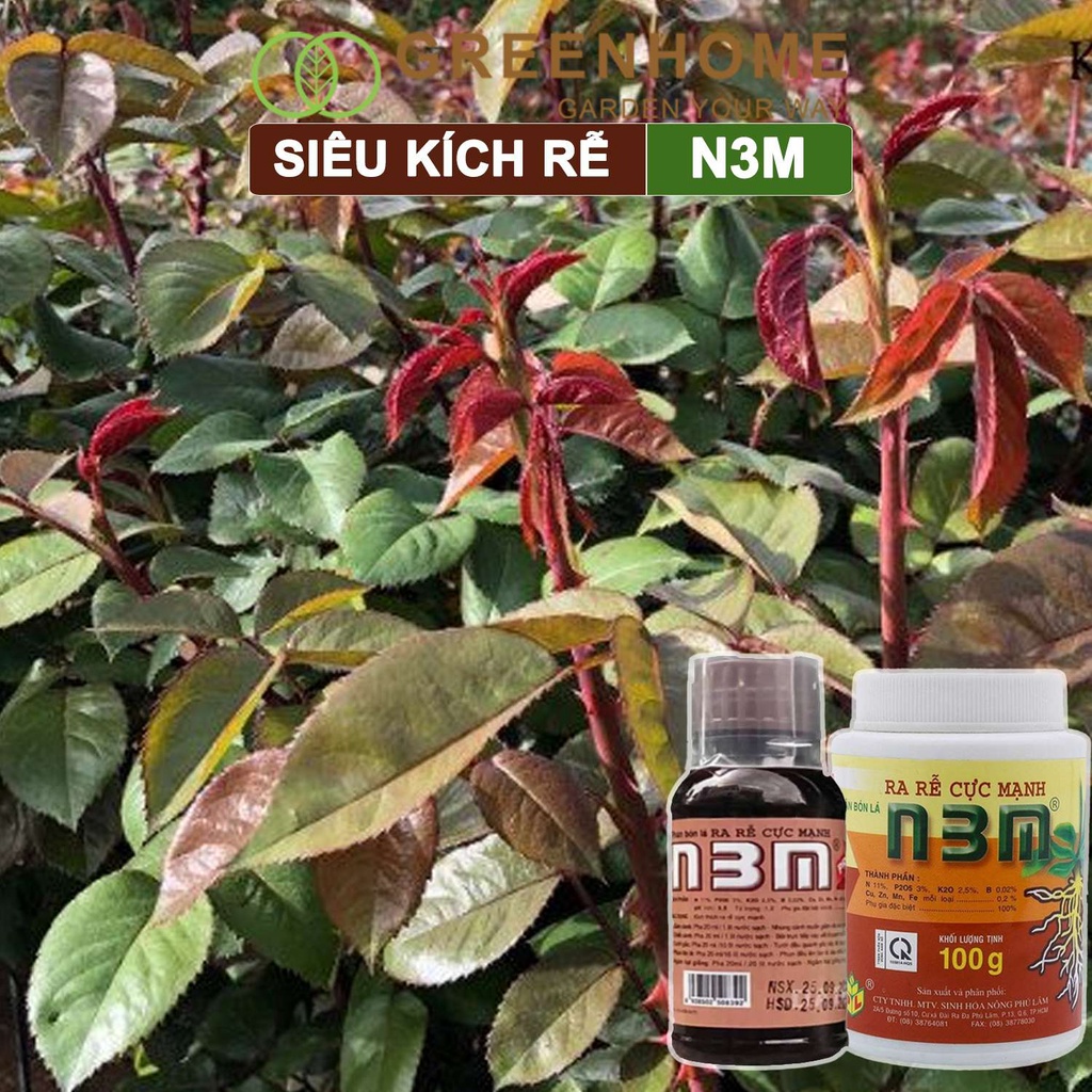 Phân Bón Lá Greenhome, N3M, Chai100ml, Ra Rễ Cực Mạnh Dùng Giâm, Chiết Cành, Ngâm Hạt Giống, Chuyên Kiểng, Hoa Hồng, Lan