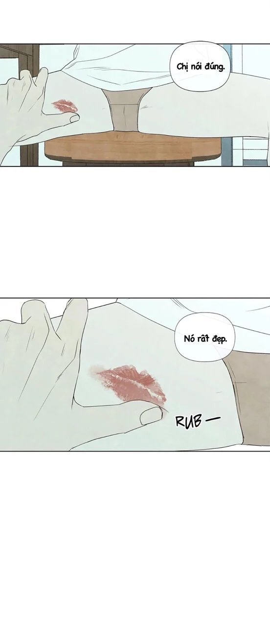 summer solstice point chapter 21 30