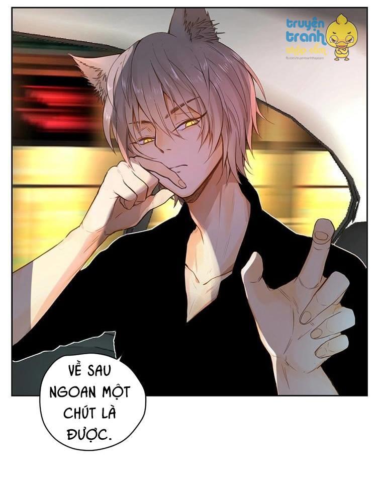 cứu mạng ! loài mèo thống trị thế giới rồi ! chapter 26 24