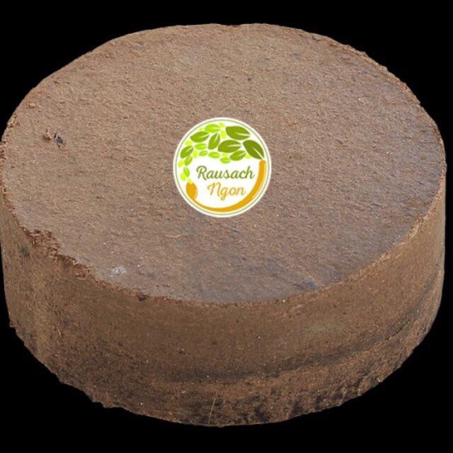 Bánh xơ dừa trồng rau hoa cây cảnh