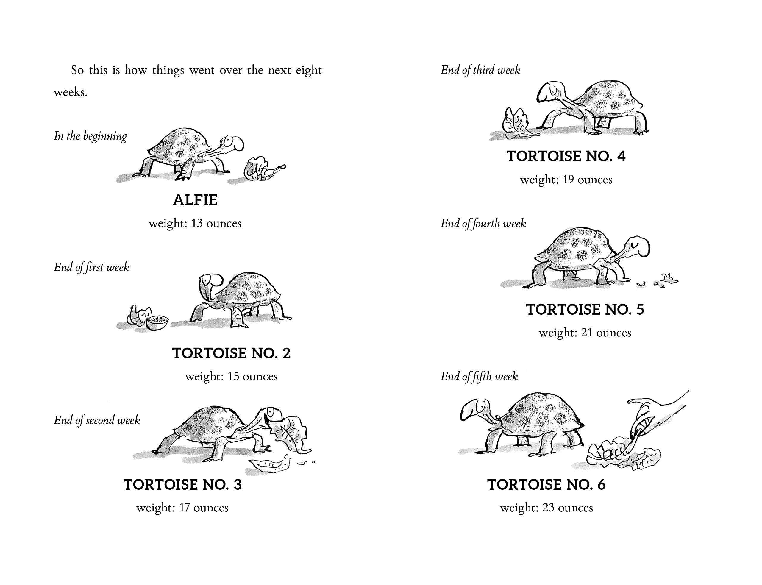 Esio Trot