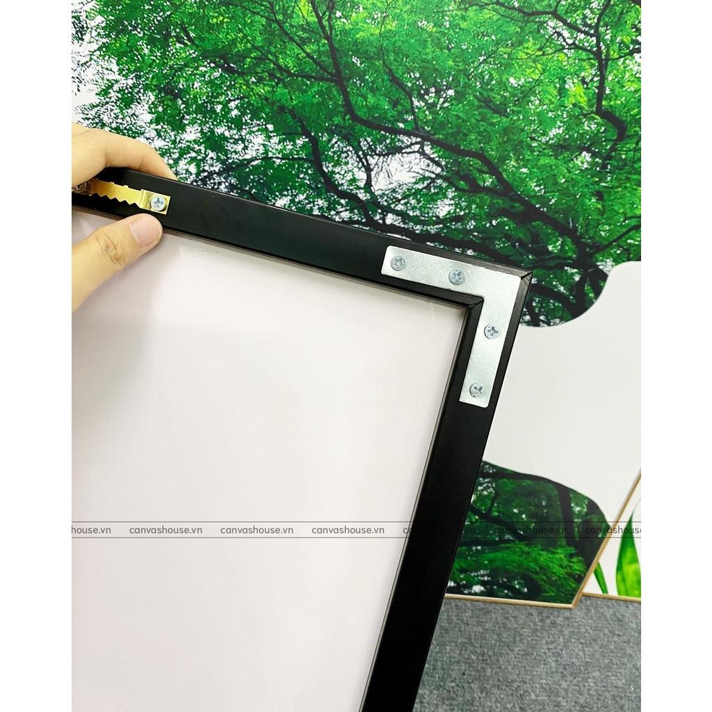 Tranh Canvas Hoa Mẫu Đơn Hồng - S5B9