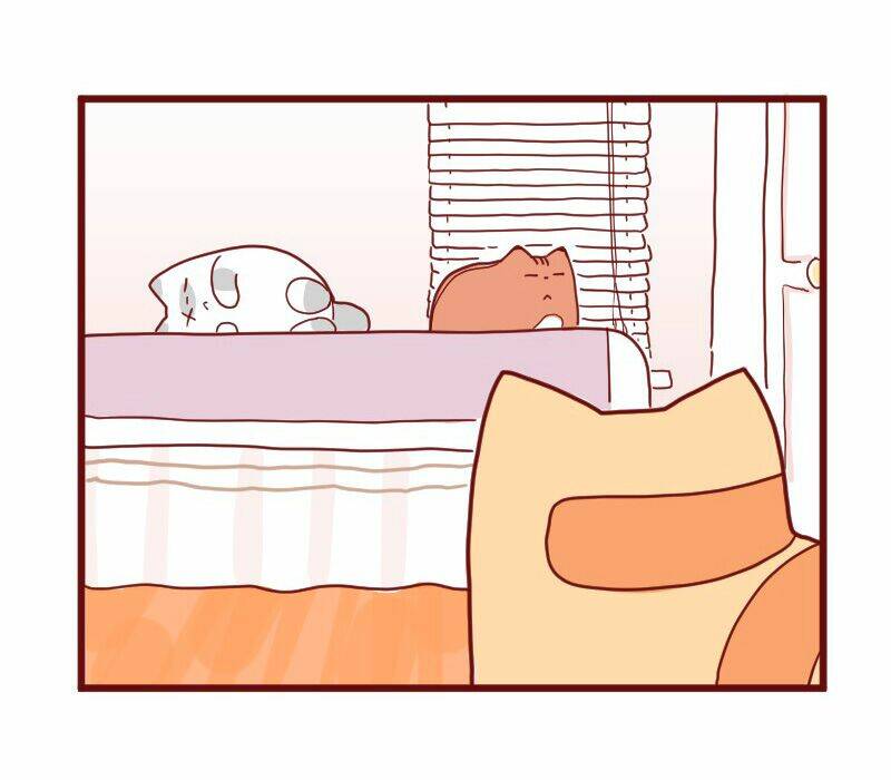 saphie: chú mèo một mắt chapter 10 18