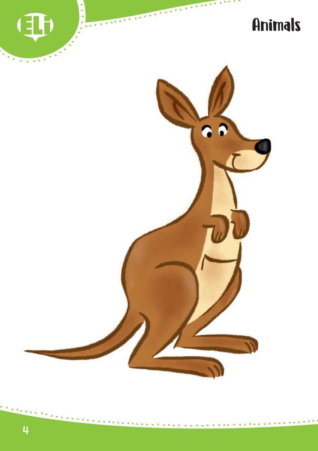 Sách ngoại văn: Words In Pictures (Printed Flashcards With Digital Code)