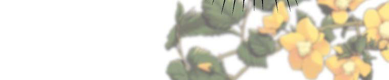 tôi sẽ cứu lấy nam chính tiểu thuyết bl chapter 23.2 20