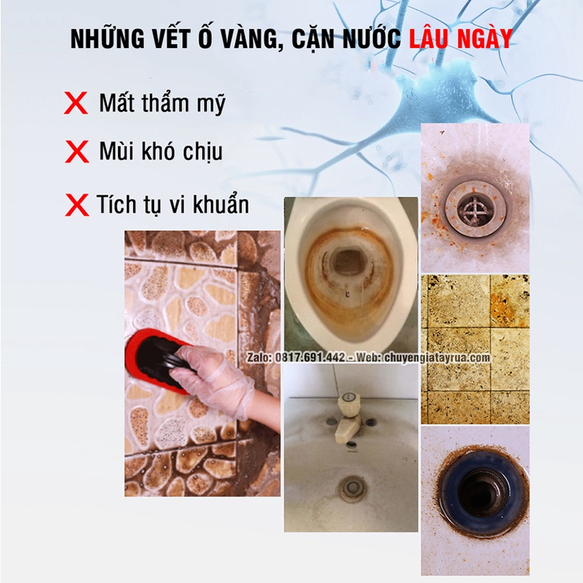 xịt tẩy đa năng đặc chủng vương triều