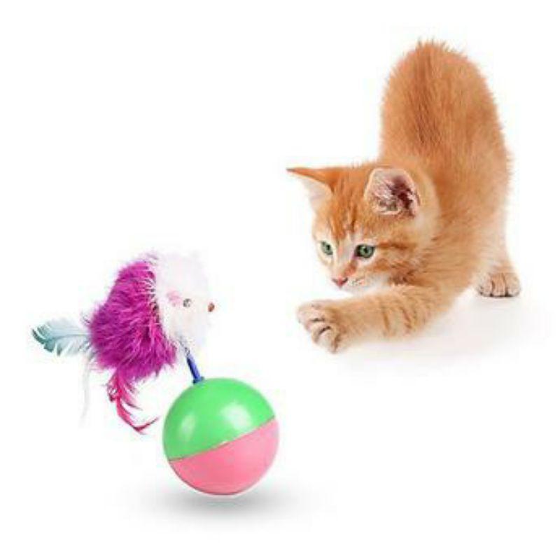 bóng chuột lật đật đồ chơi cho choa mèo