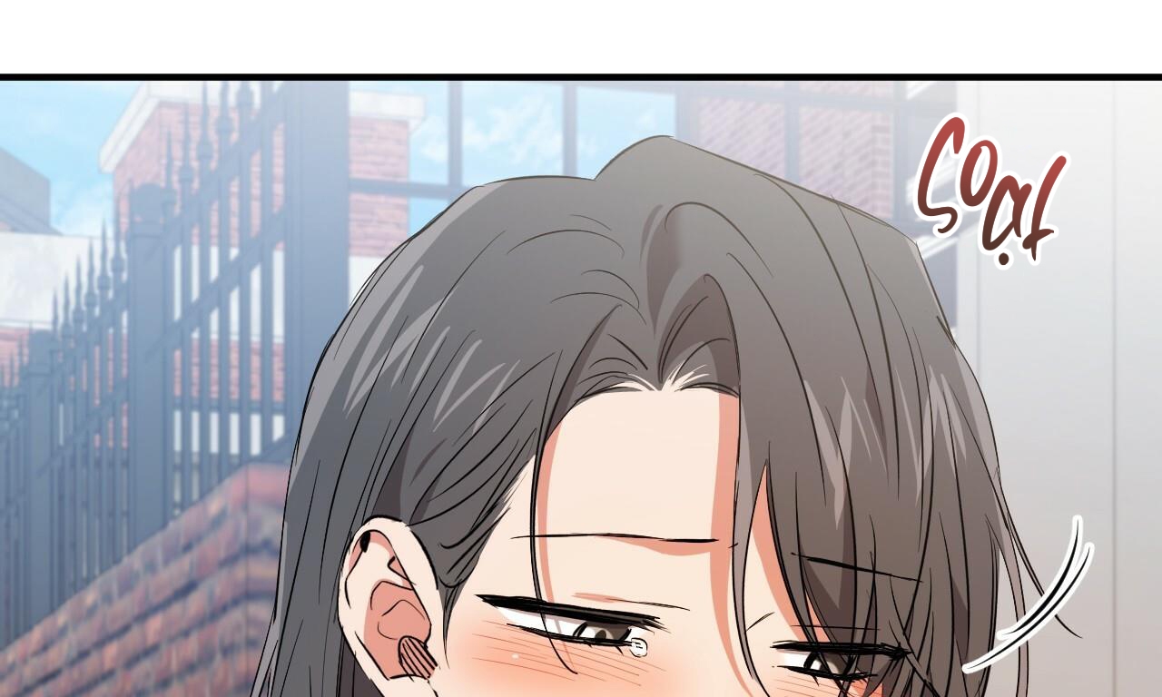 những chú thỏ của hapypy chapter 56 79