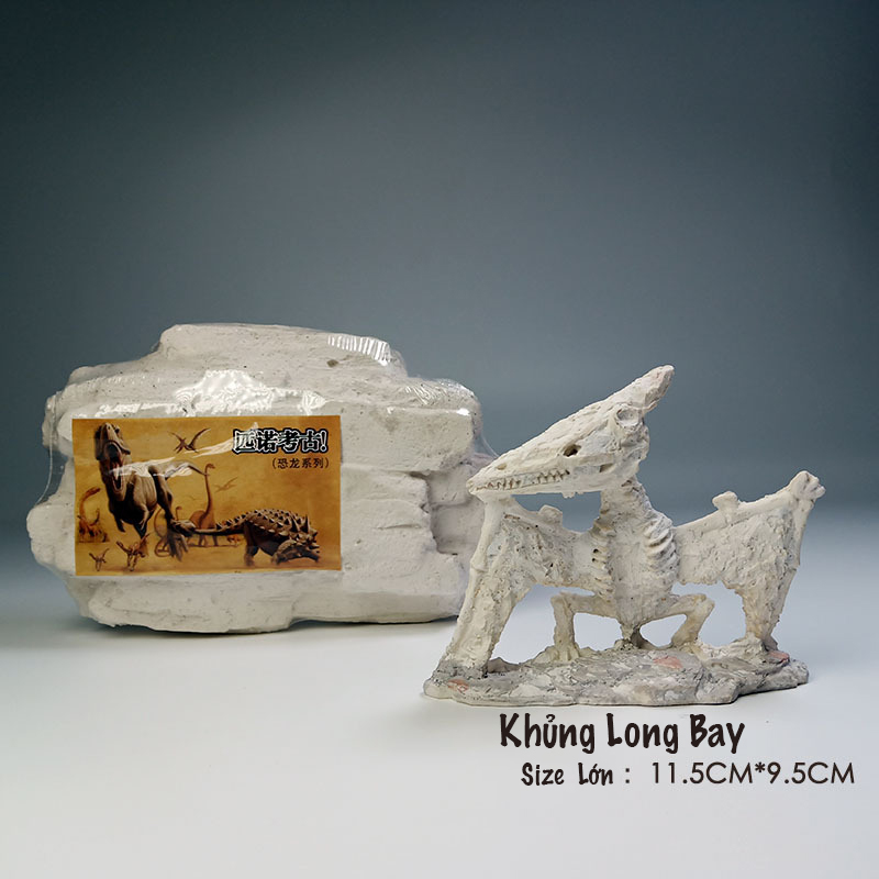 Đào Hóa Thạch Khủng Long Mini, Đồ Chơi Thông Minh Cho Trẻ,cổ vật Ai Cập, khủng long bạo chúa.