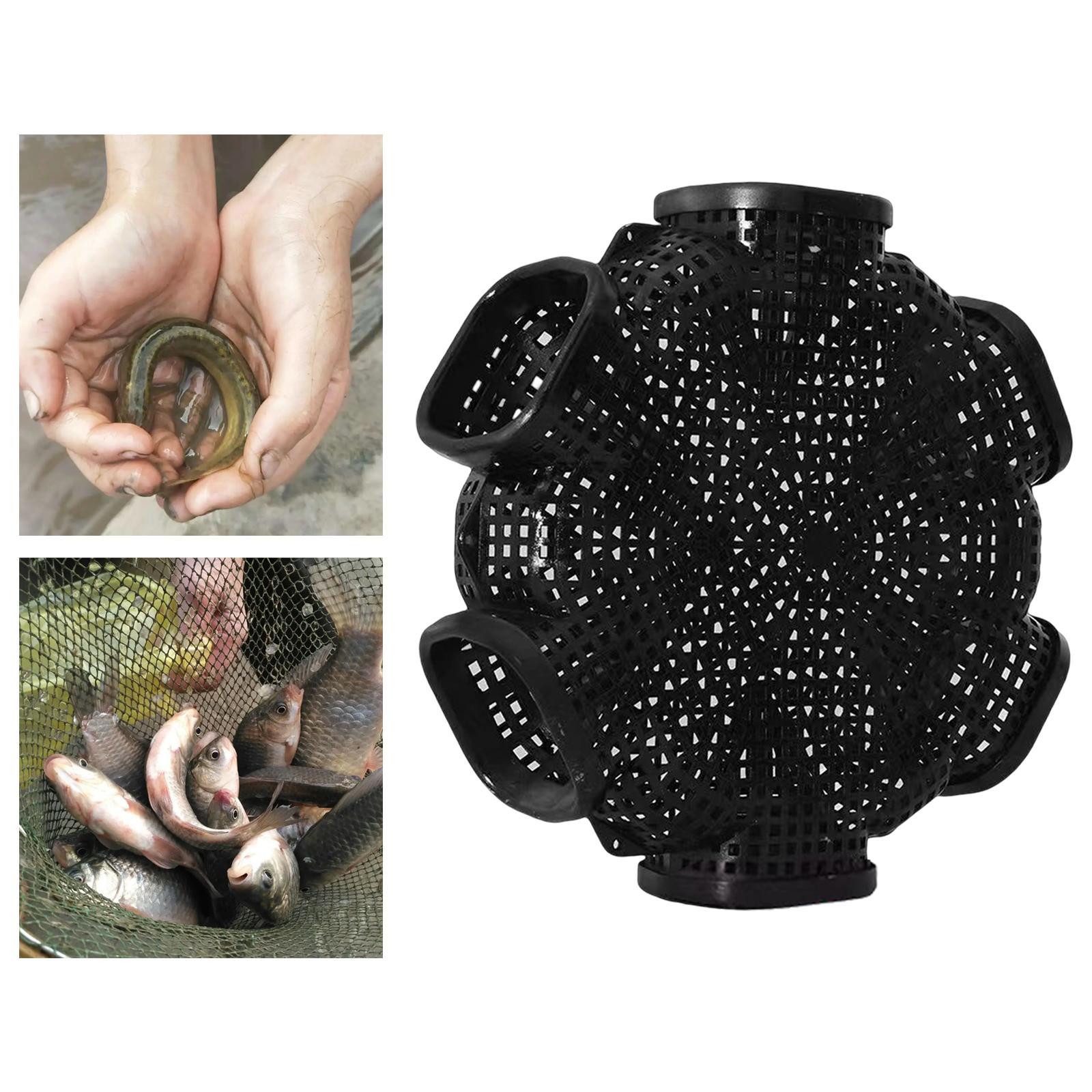 6 Hole Fishing Eel Cage Trap Loach Cage Fishing Tackle Tool Baits Mesh Fish Shrimp Cage for Crayfish Lobster Eel Minnow Shrimp