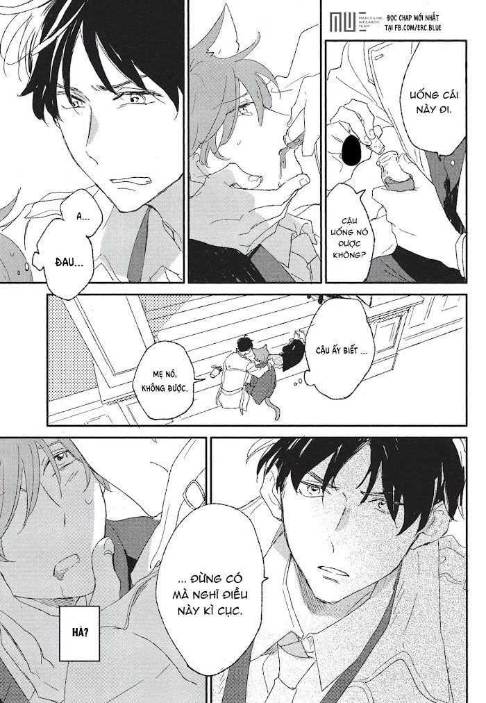 neko to mahou wa kiss de hodokeru chapter 1 21