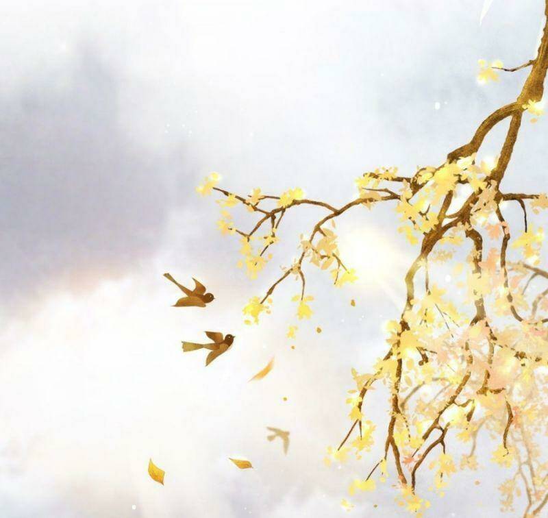 mê hoặc nhân tâm chapter 5 2