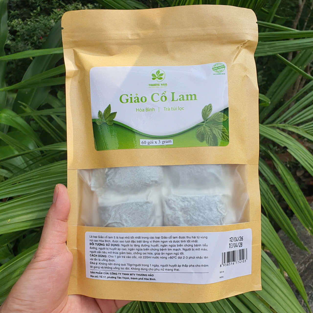 Túi 60 gói trà túi lọc Giảo Cổ Lam 5 lá Hòa Bình