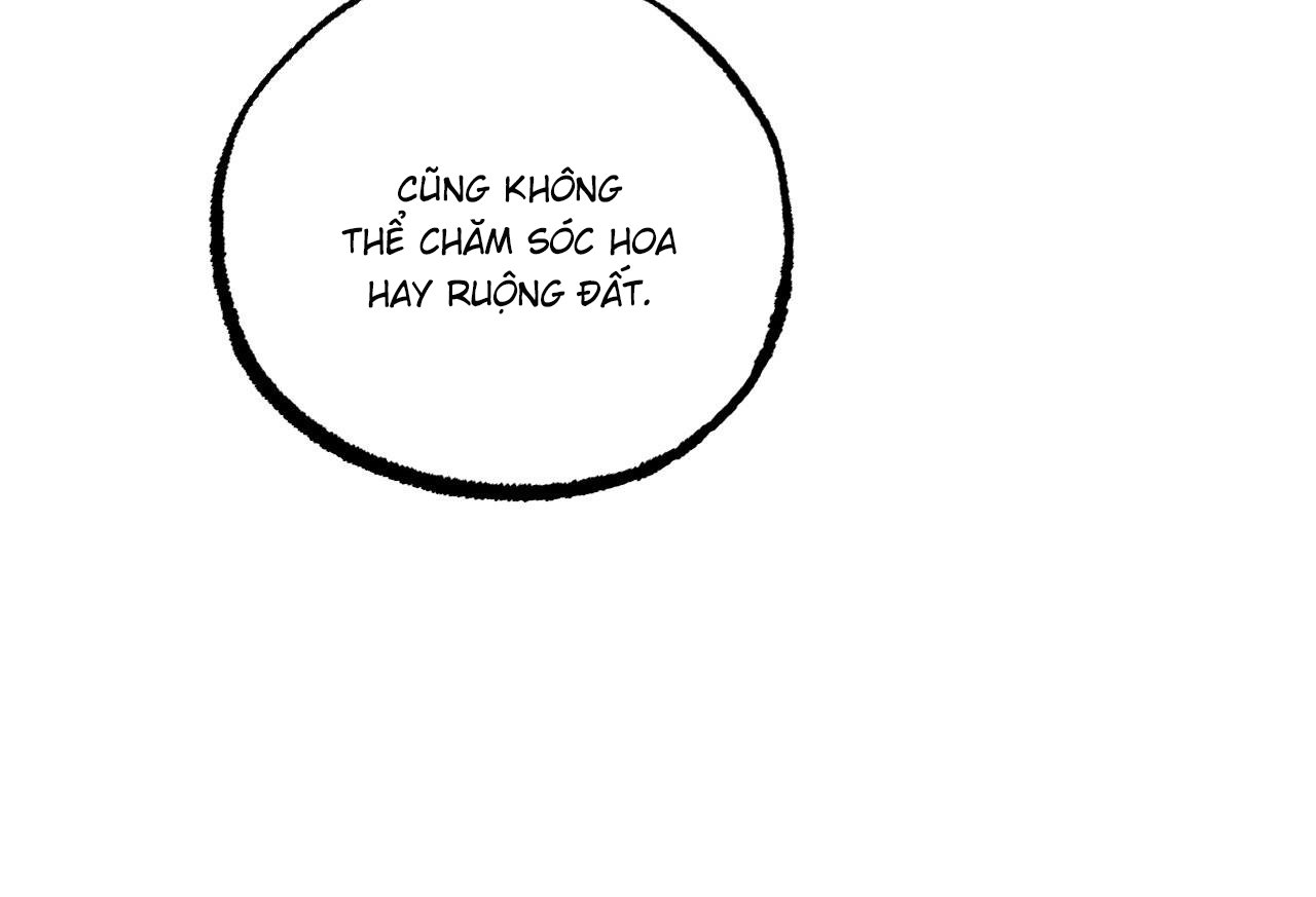 những chú thỏ của hapypy chapter 61 81