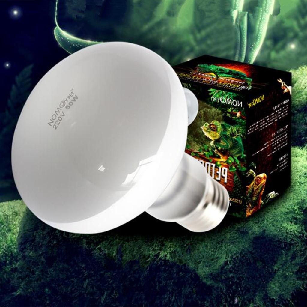 2 pcs 50W/75W Tortoise Reptile Vivarium Light UVA Basking Lamp Heat Bulb