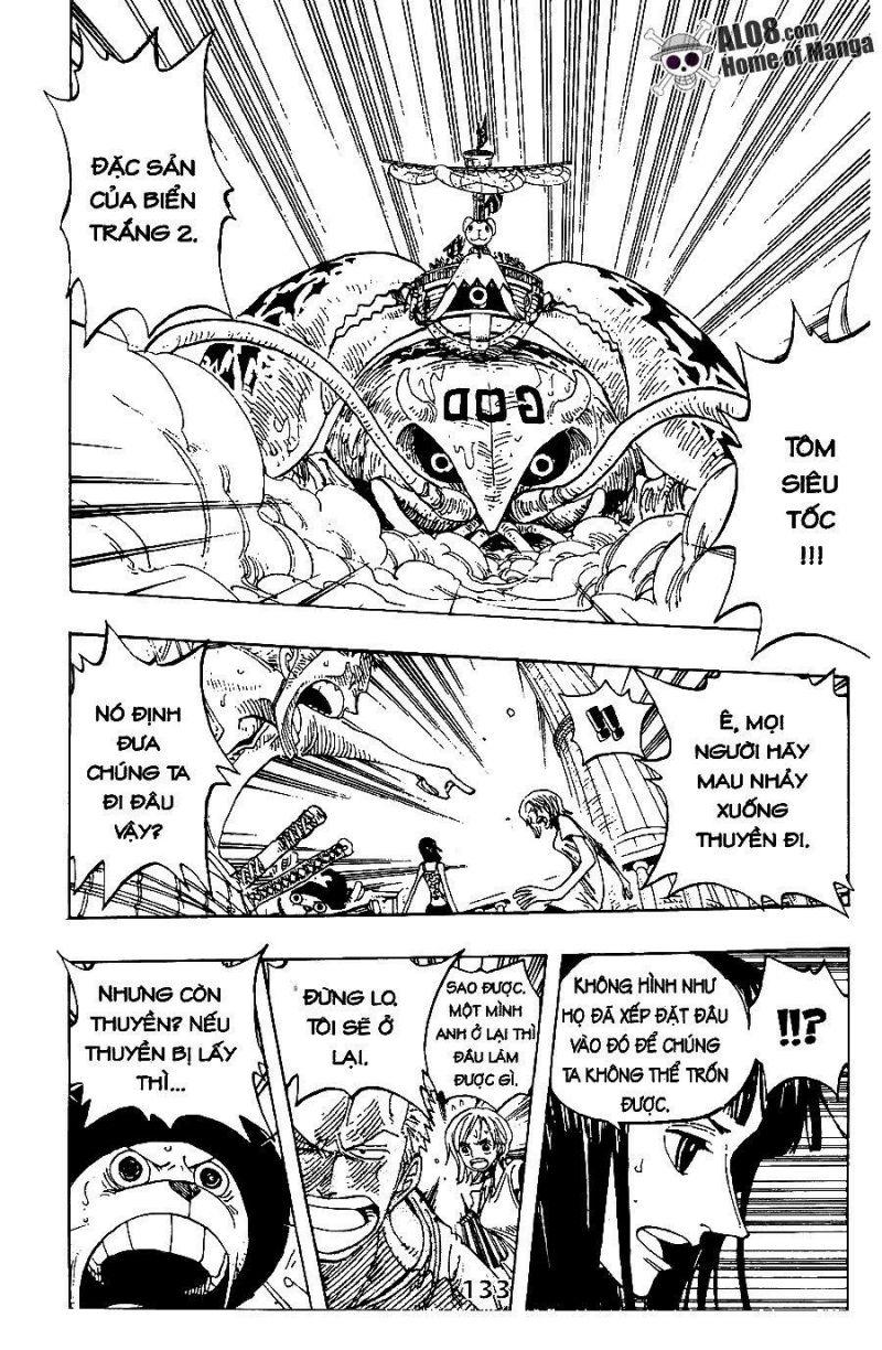 đảo hải tặc - one piece chapter 243 11