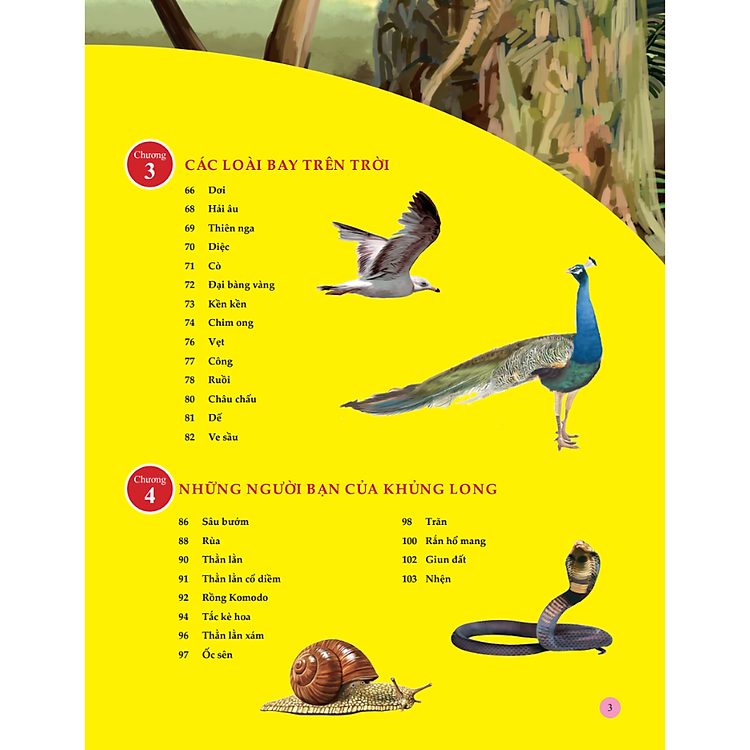 Sách Bách Khoa Toàn Thư Tìm Hiểu Về Trái Đất - ảnh 4