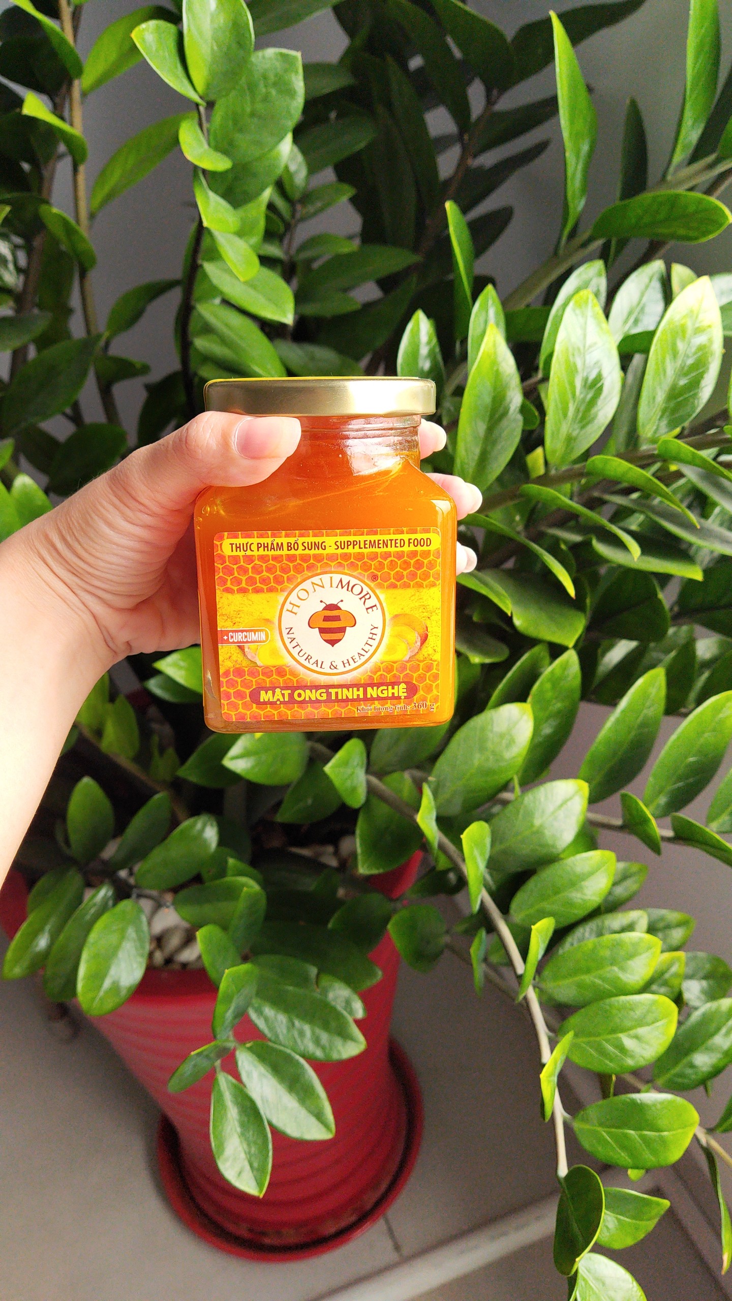 Combo mật ong tinh bột nghệ Honimore 360g và mật ong rừng nguyên chất 360g - Giúp hỗ trợ cải thiện đau dạ dày, chăm sóc da, tăng cường sức đề kháng