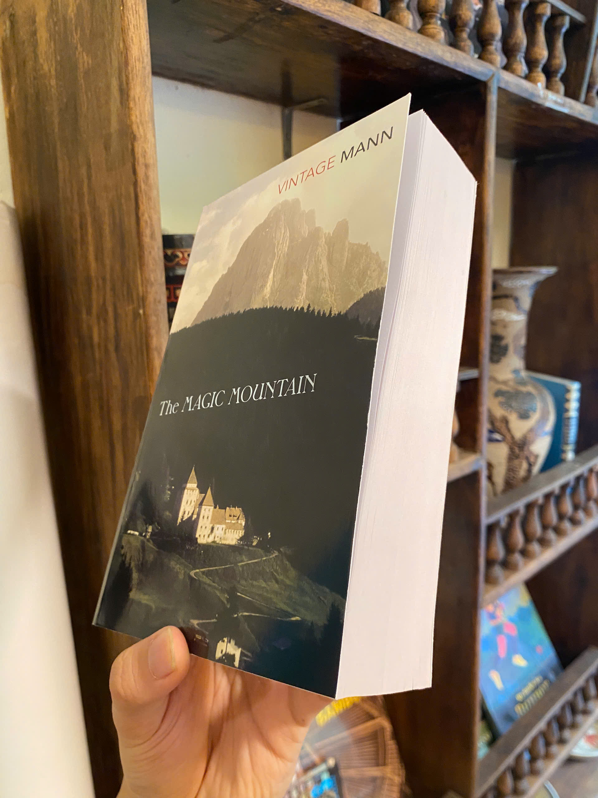 Sách - The Magic Mountain by Thomas Mann | Fiction / Classics / German Literature / Sách Ngoại văn