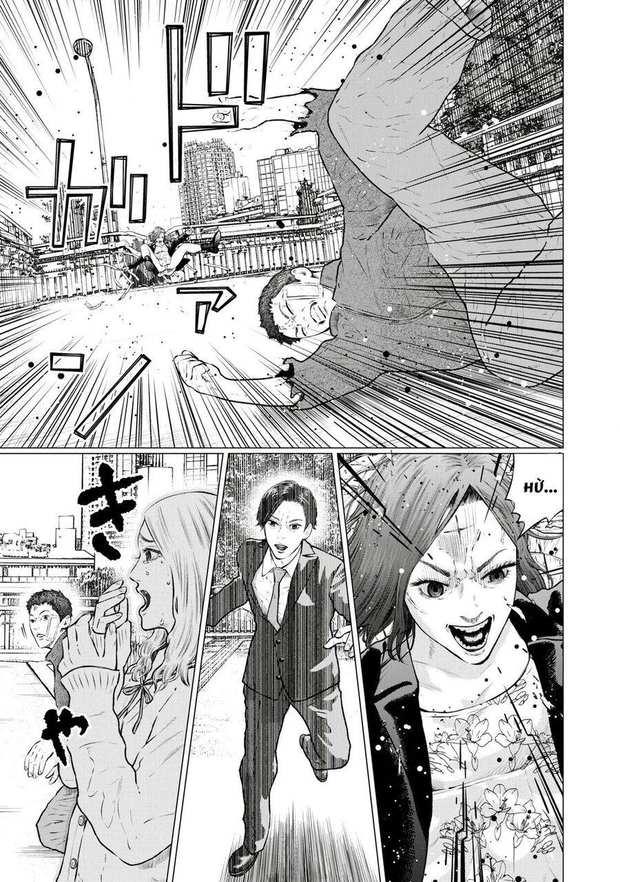 mật danh: nostra chapter 24 1