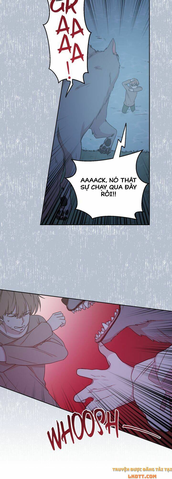 tôi chọn kết thúc của hoàng đế chapter 21 21