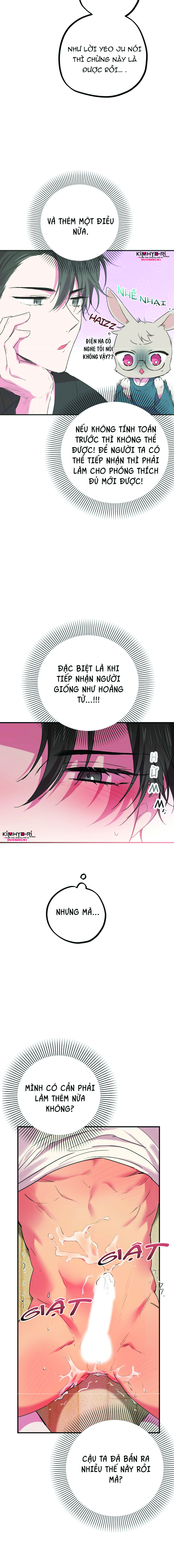 những chú thỏ của hapypy chapter 9 2