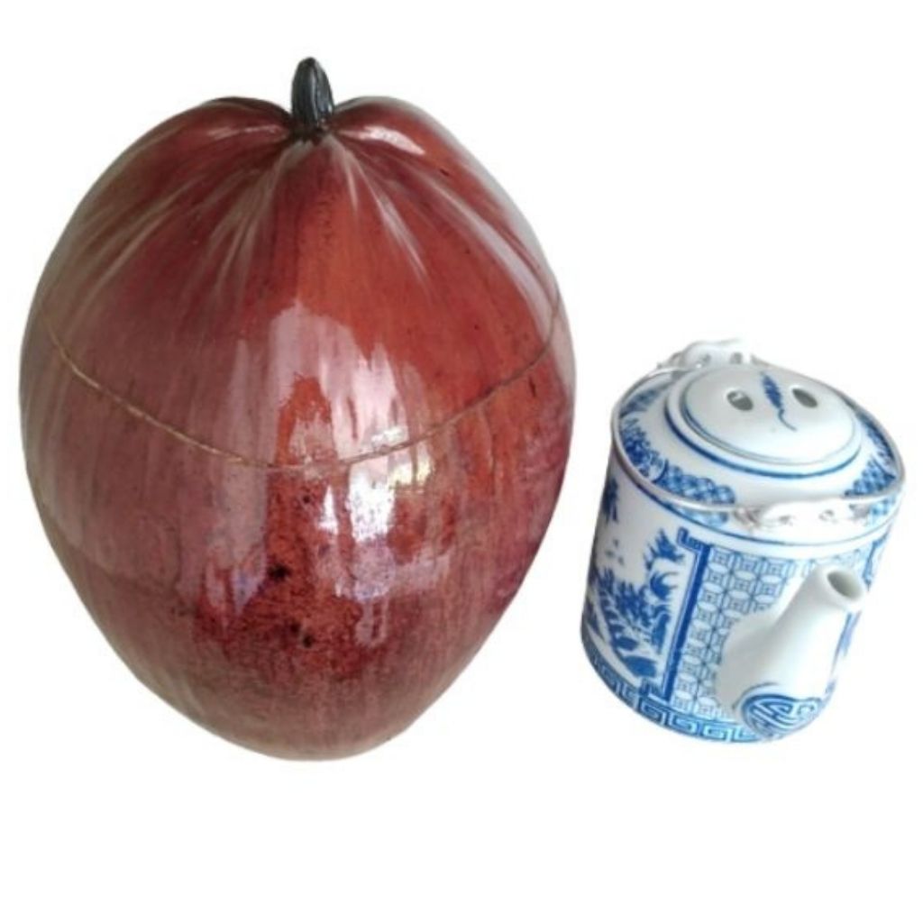 Vỏ Bình Trà Trái Dừa Có Sơn Bóng Màu Nâu Đỏ Và Bình Trà 850 - 950ml - Sản Phẩm Được Sản Xuất Tại Bến Tre