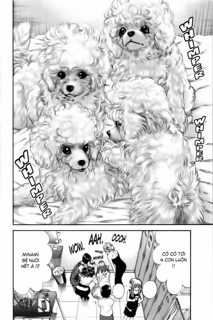 cô nàng yêu chó chapter 25 12
