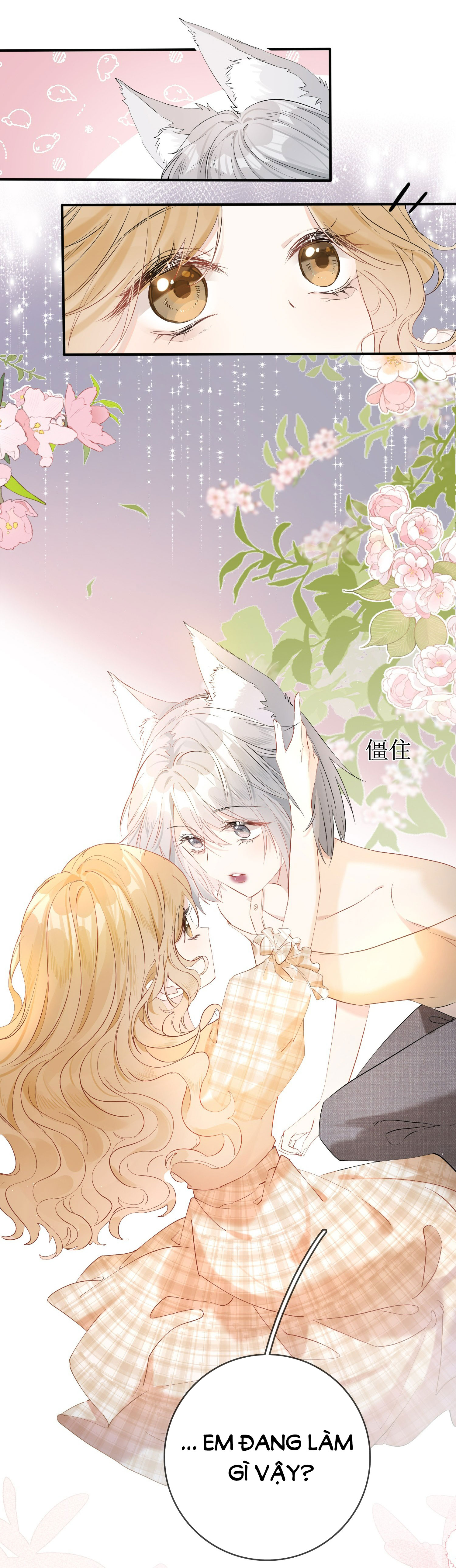 tiểu thư sói và em gái hồ ly của cô ấy chapter 4 23