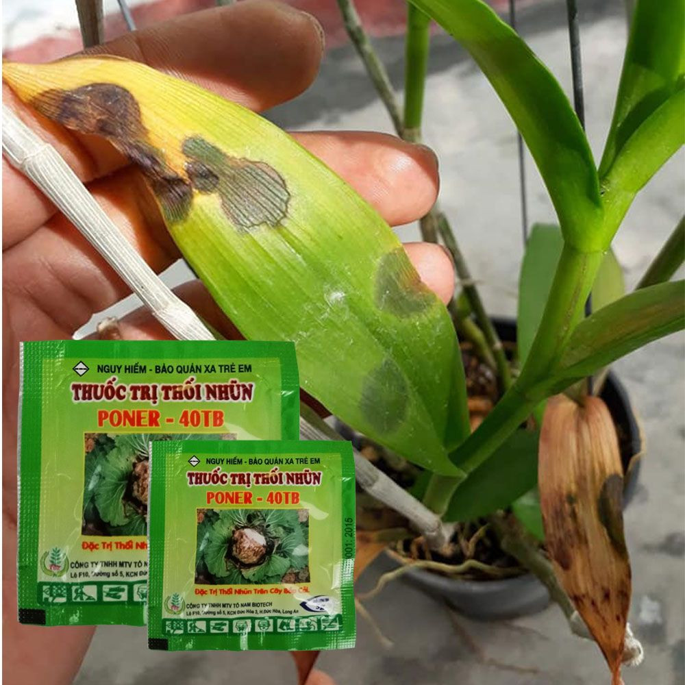 VIÊN CHỐNG THỐI NHŨN PONER CHO HOA LAN VÀ CÁC LOẠI CÂY TRỒNG