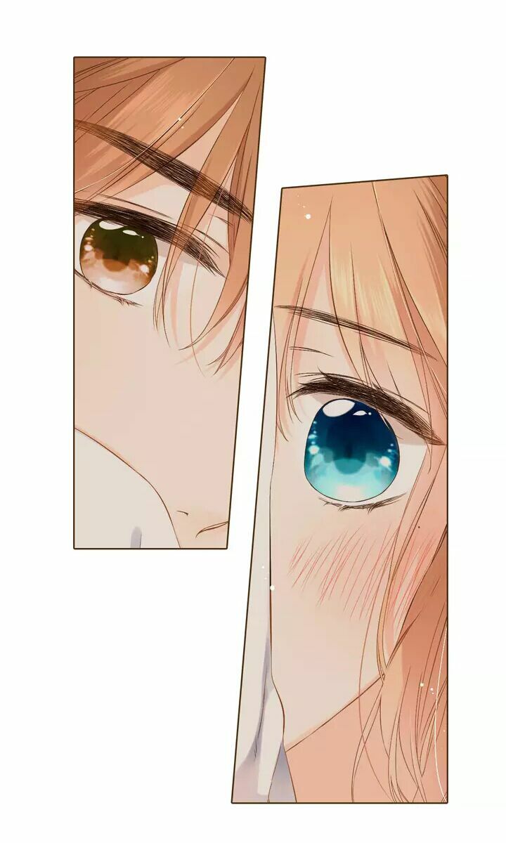 Tình yêu là màu hoa anh thảo chapter 34.2 22