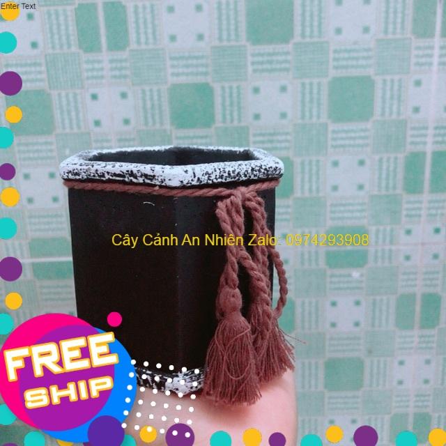 Chậu Trồng Cây