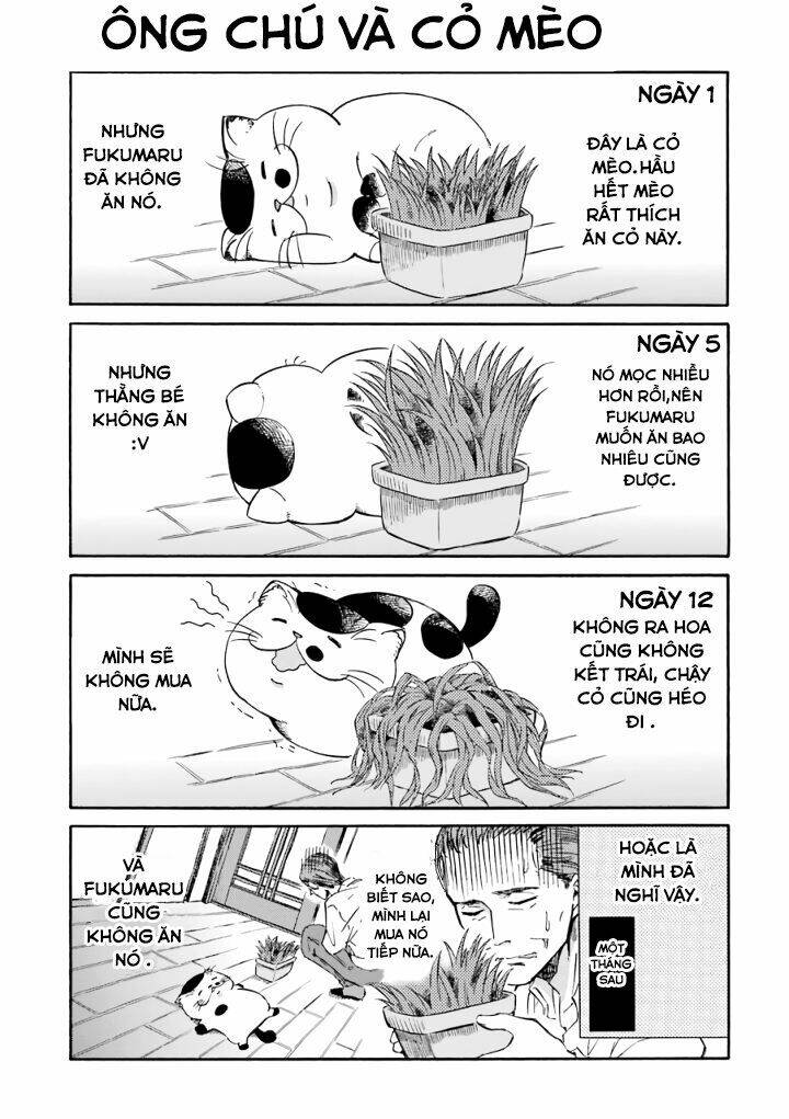 ông chú và con mèo mặt bựa chapter 15.2 6