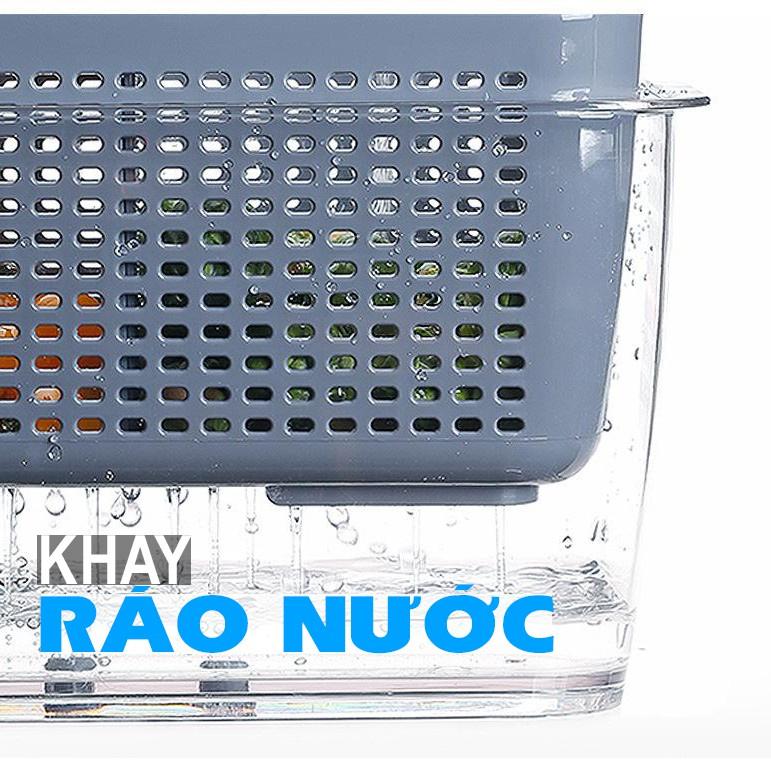Hộp Đựng Thực Phẩm Tủ Lạnh 2 Lớp Có Lỗ Thoát Nước, Có Khóa Thoát Khí, Dễ Dàng Bảo Quản Rau Củ - Giao Màu Ngẫu Nhiên - Hàng Chất Lượng